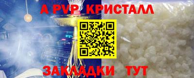 прущие грибы Ижевск